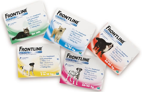 Frontline for dogs
